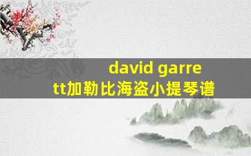 david garrett加勒比海盗小提琴谱